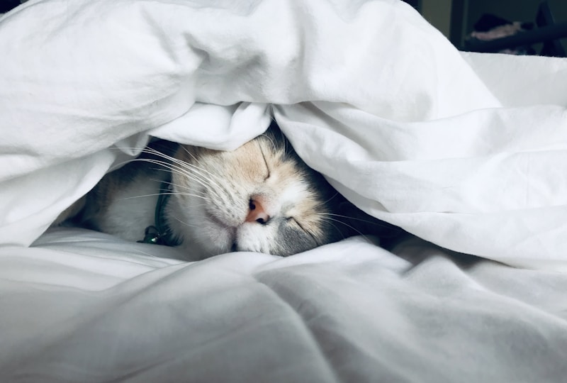 Sleep and testosterone